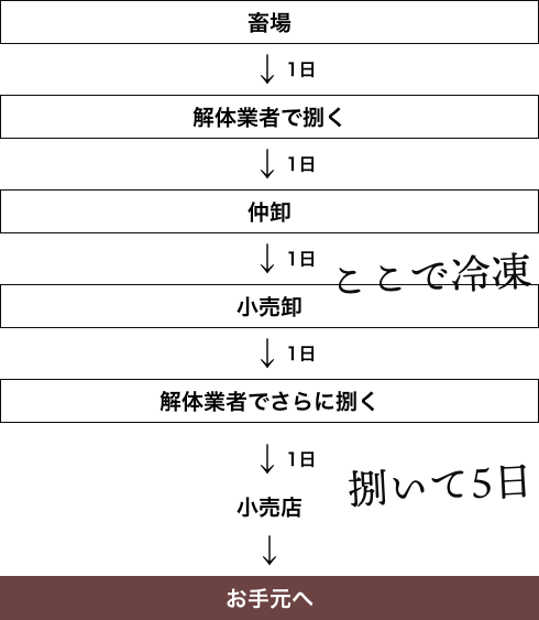 他店：畜場 → 解体業者で捌く → 仲卸 → 小売卸 → 解体業者でさらに捌く → 小売店 → お手元へ DAY:5